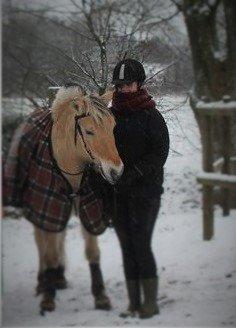 Fjordhest Mia HR billede 12