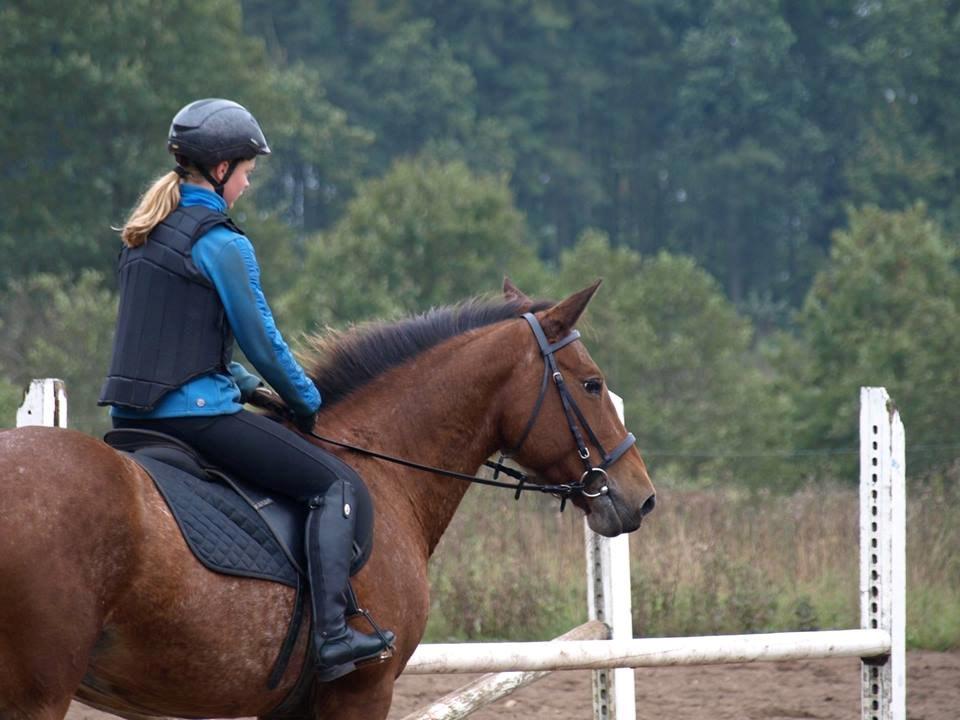 Anden særlig race Wanja - Første gang vi springer sammen, d. 16.10.15 billede 7