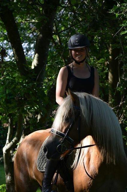 Haflinger Fenja billede 20