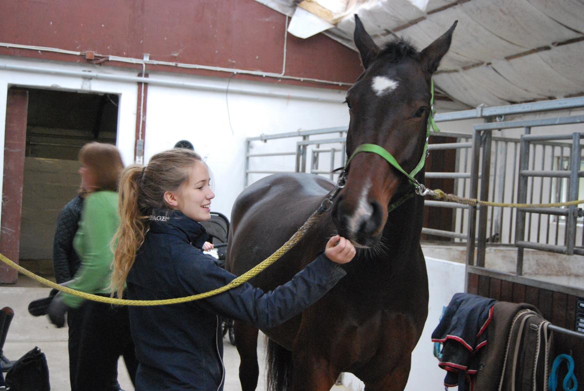 Anden særlig race Thilo Søndergaard - Besøg - oktober 2015 billede 2