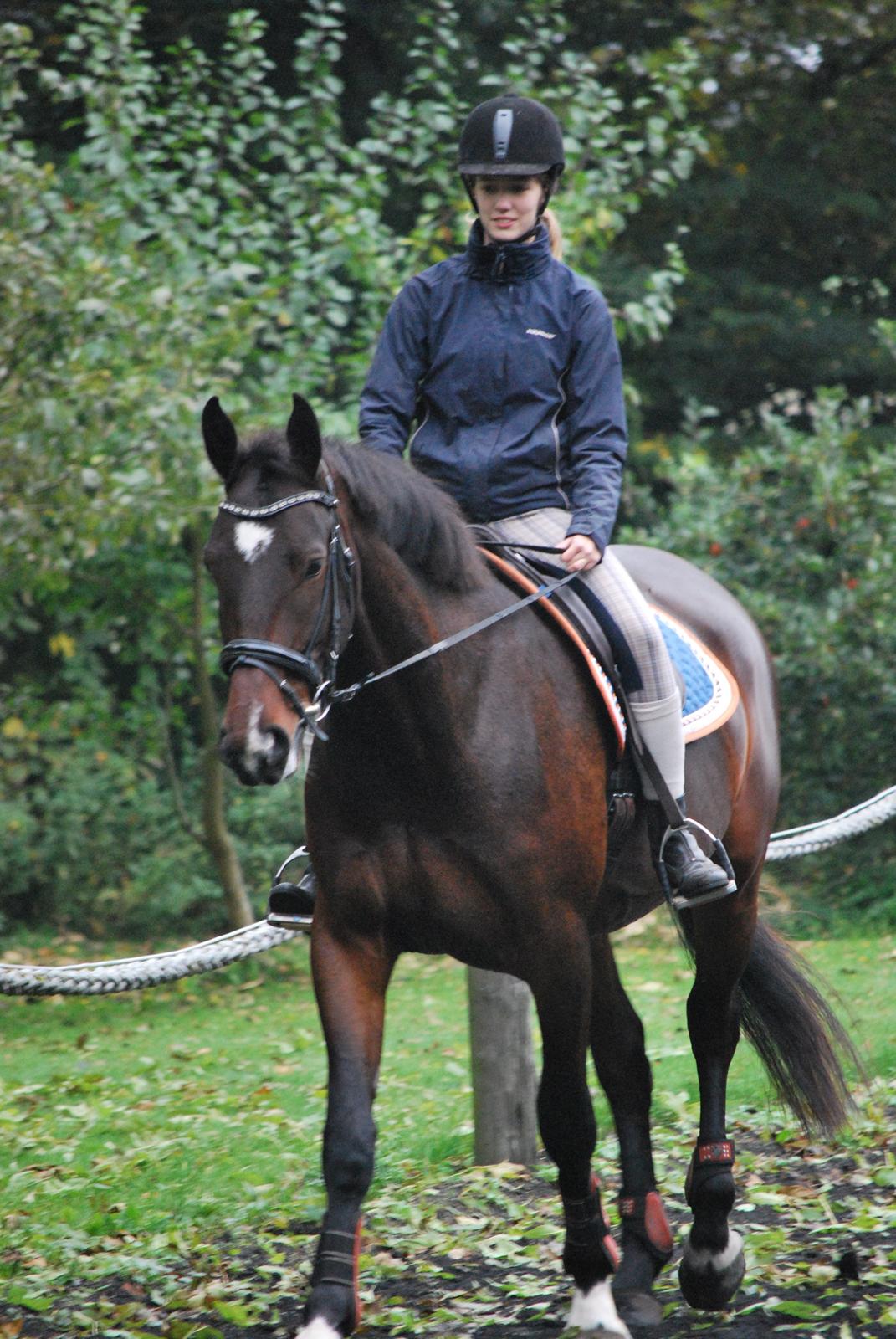 Anden særlig race Thilo Søndergaard - Besøg - oktober 2015 billede 5