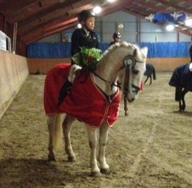 Connemara Moyspring billede 12