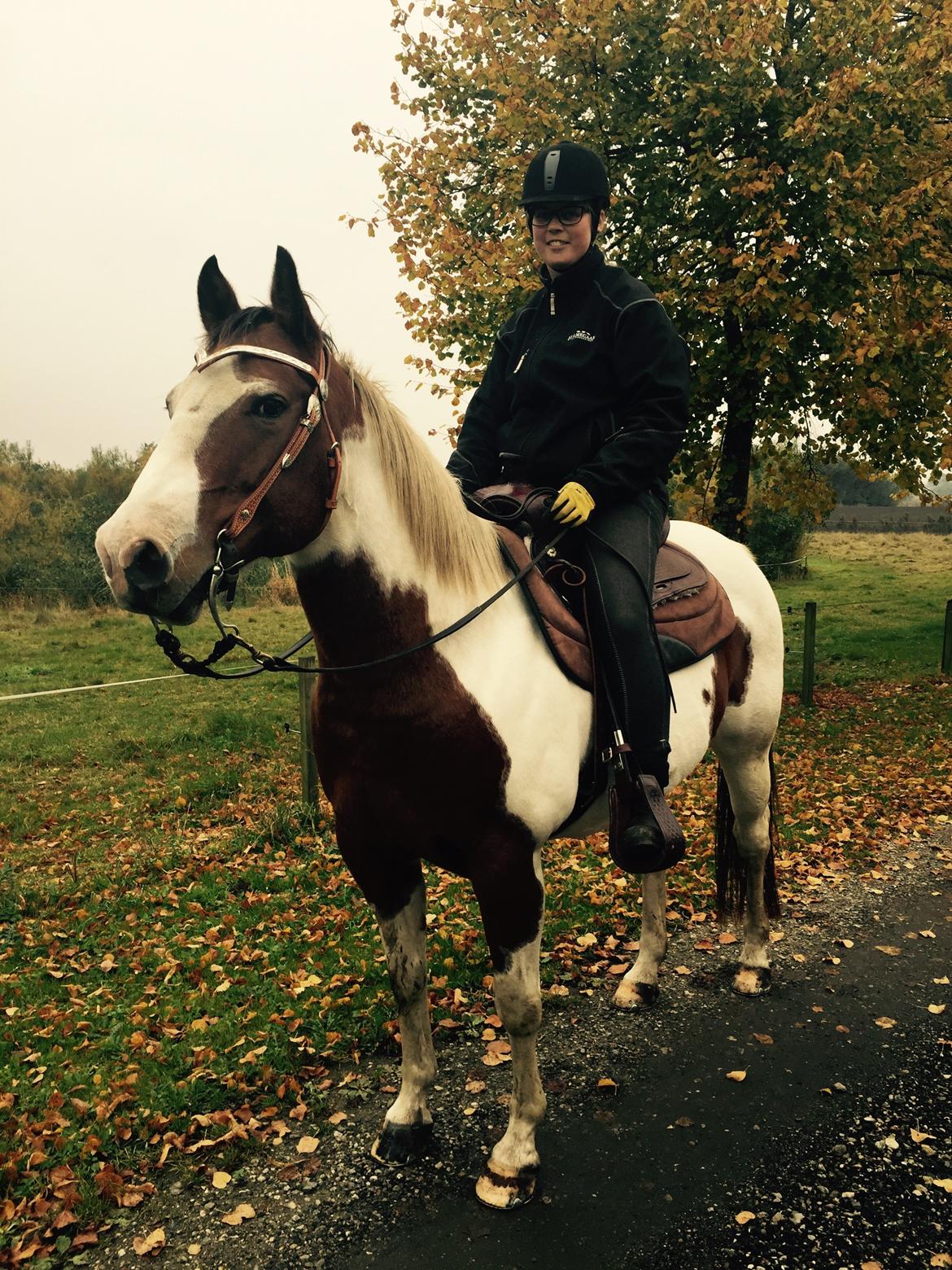 Paint Sweetie billede 7