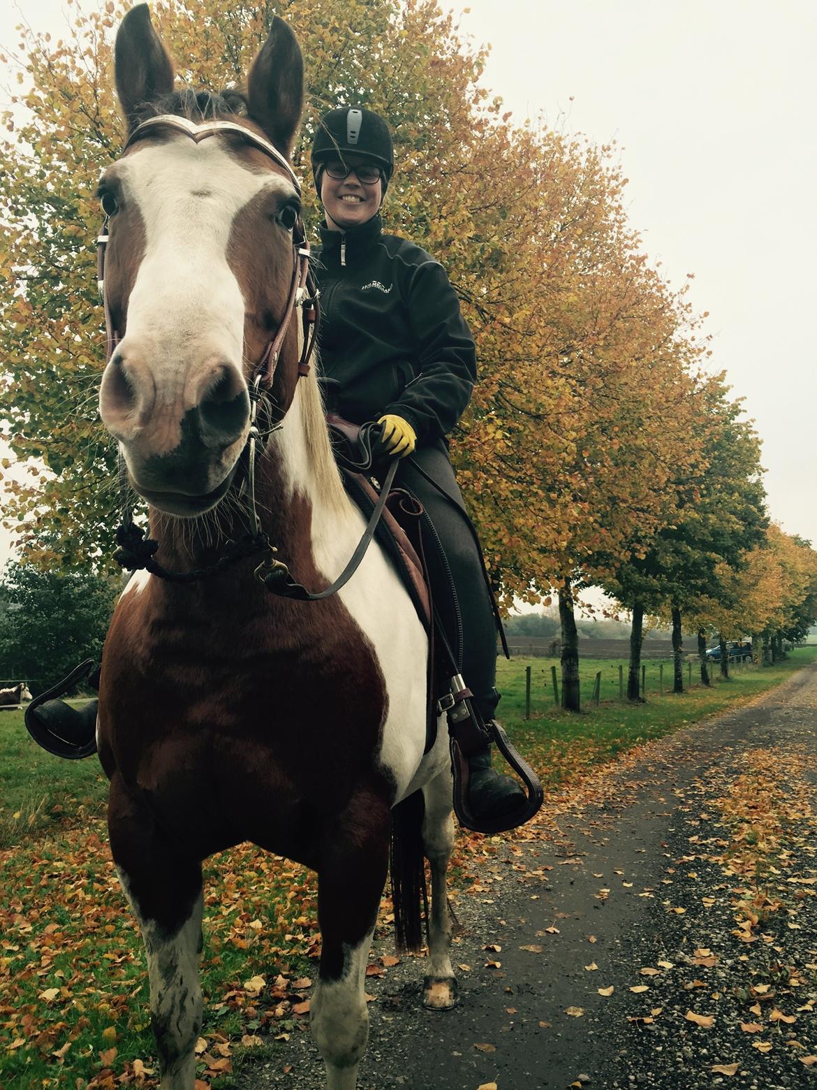 Paint Sweetie billede 10