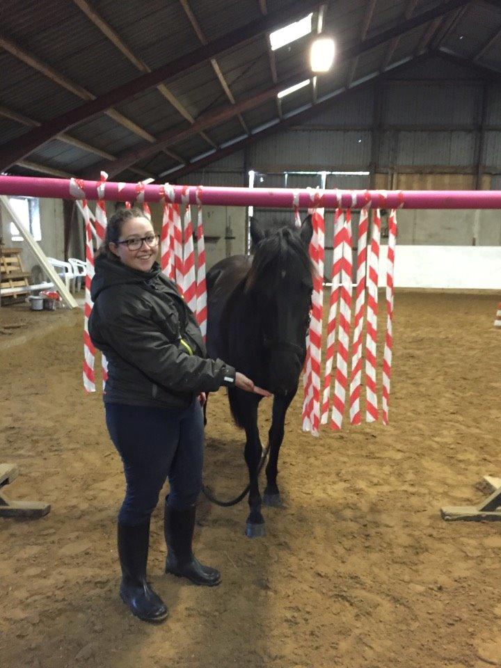 New Forest Azalia - Sjov og ballede efteråret 2015.  billede 12