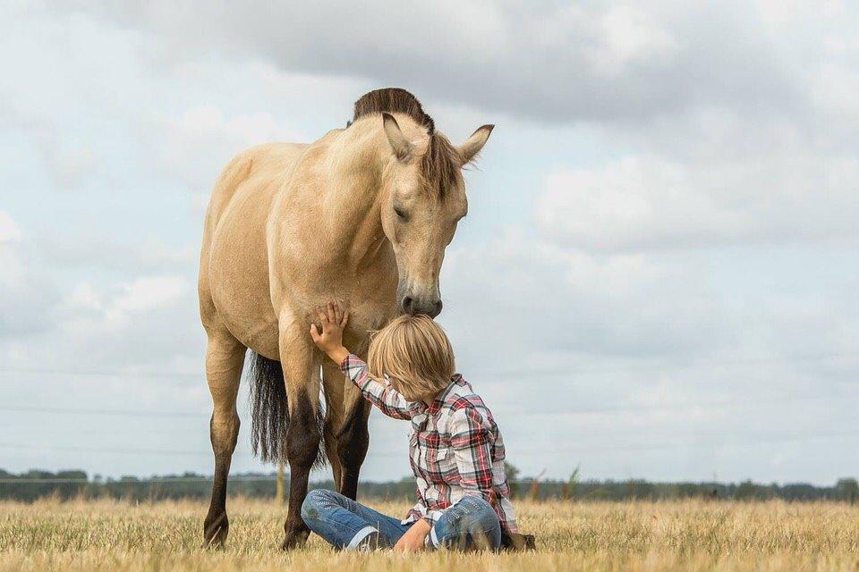DSP Toojour (Tut) billede 2