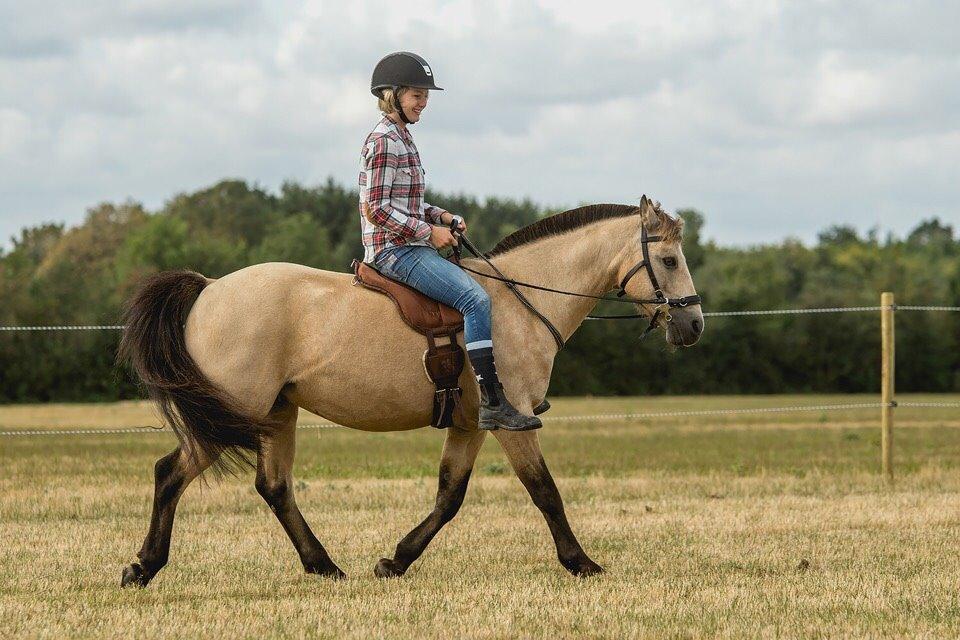 DSP Toojour (Tut) billede 6