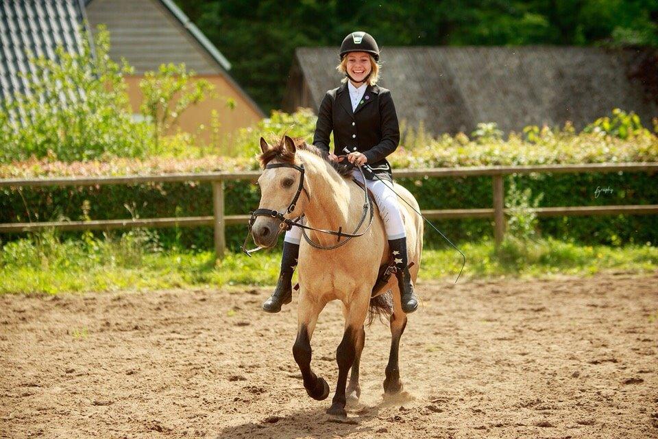 DSP Toojour (Tut) billede 7