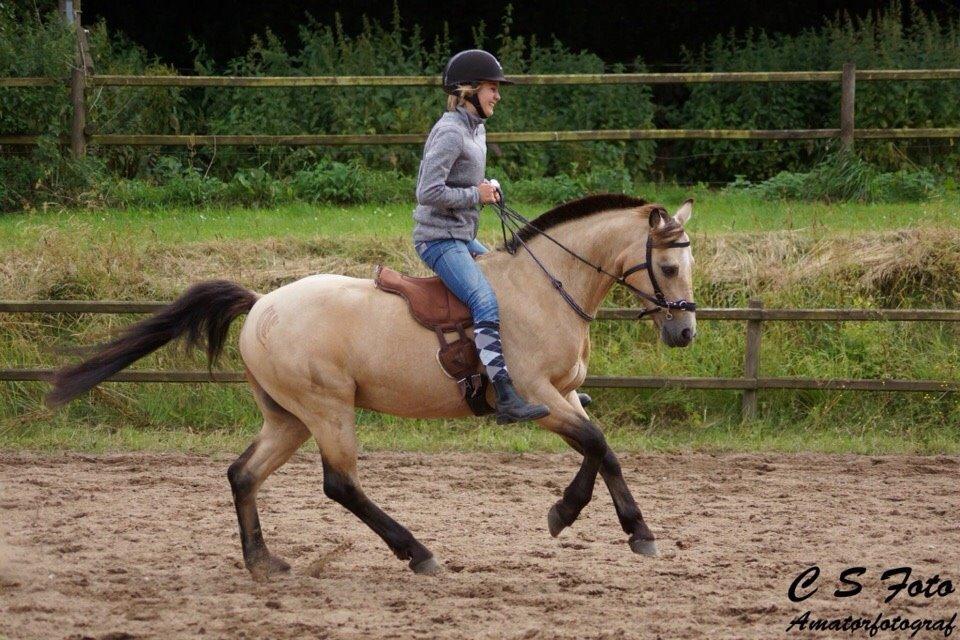 DSP Toojour (Tut) billede 10