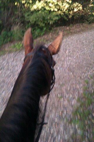 Traver Meranda Act - Skridt tur op ad grusvejen billede 11