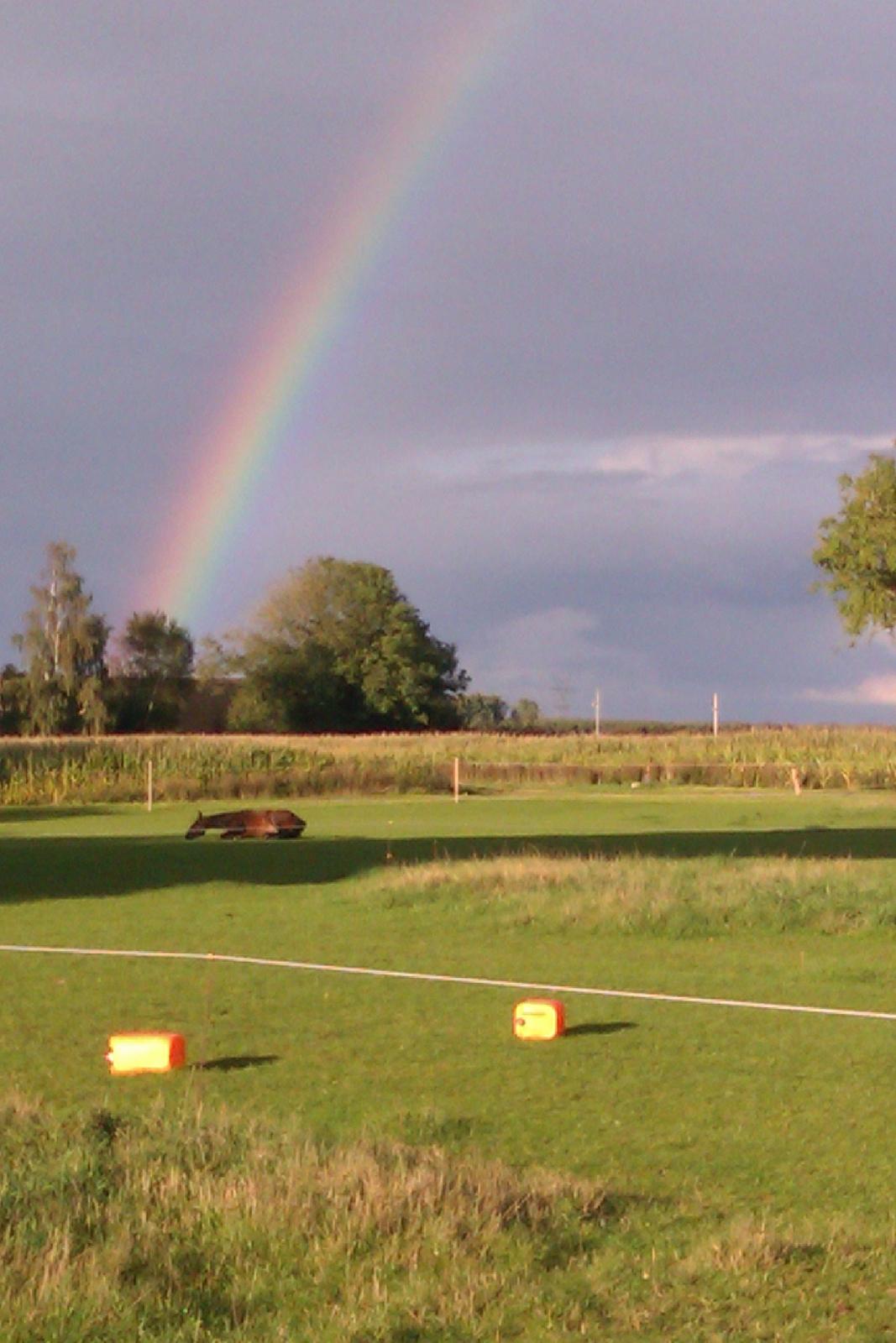 Traver Meranda Act billede 12