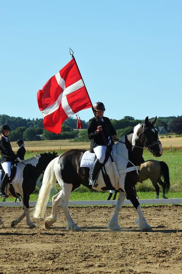 Barockpinto Arkia billede 18