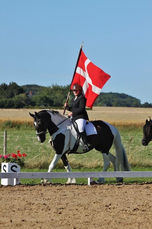 Barockpinto Arkia - os med fanen billede 15