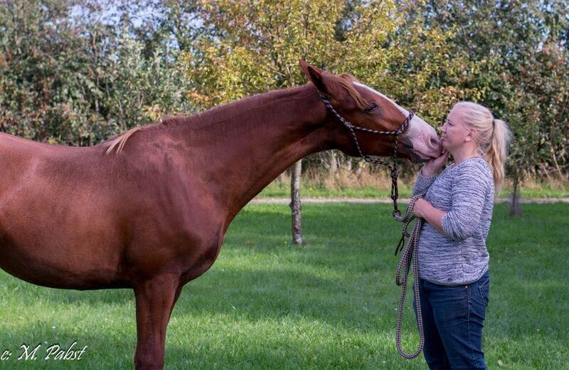 Frederiksborg Hercules Mignon billede 10