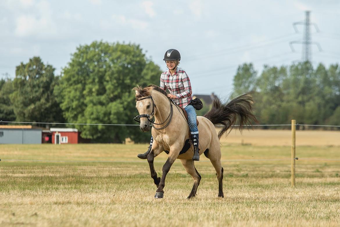 DSP Toojour (Tut) billede 13