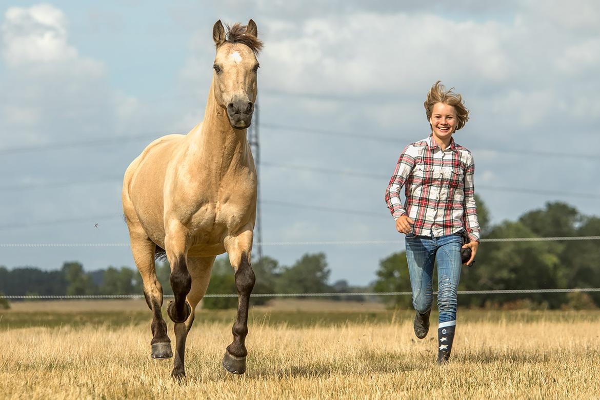 DSP Toojour (Tut) billede 11