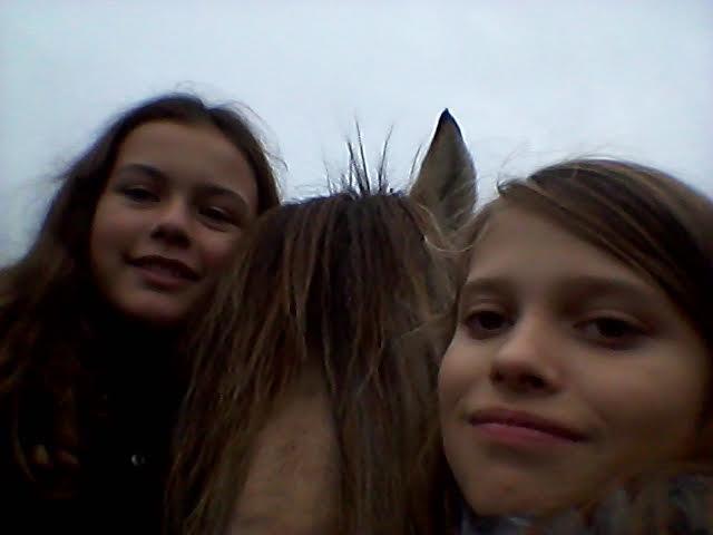 Fjordhest Milan - Mig min passer og min passers veninde billede 7