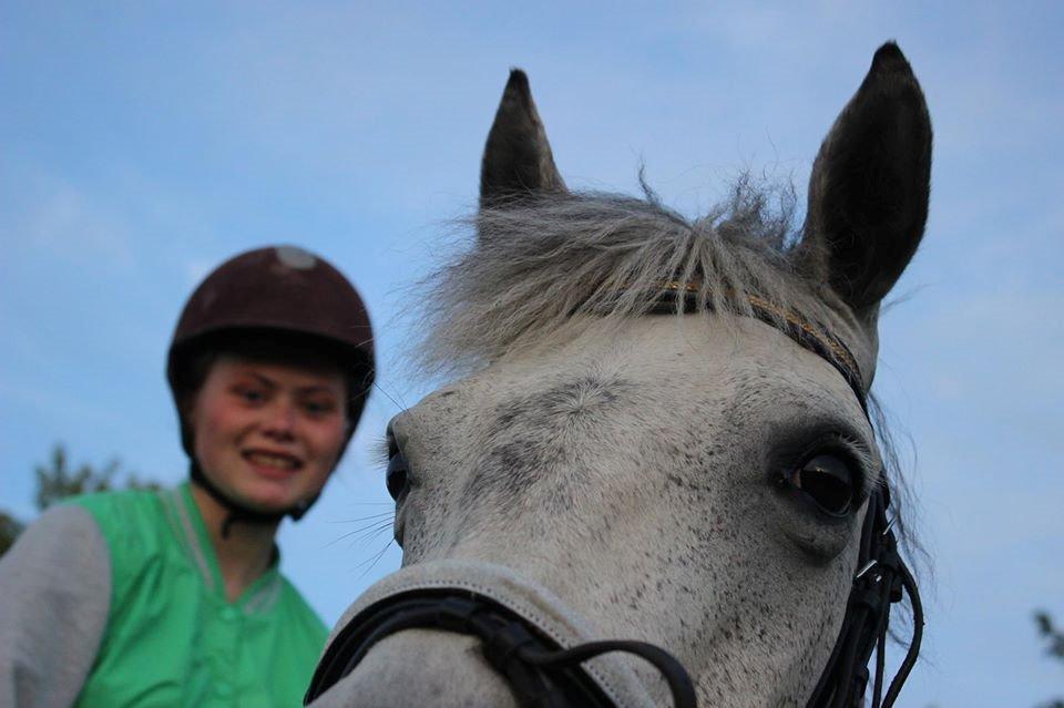 Anden særlig race Suri billede 7