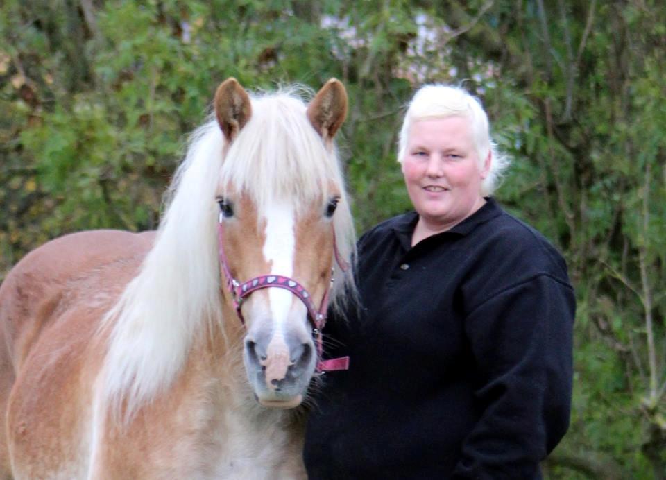 Haflinger Brombær solgt billede 19