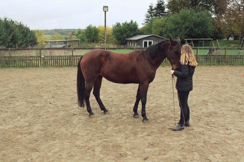 Traver Lady Barca billede 14