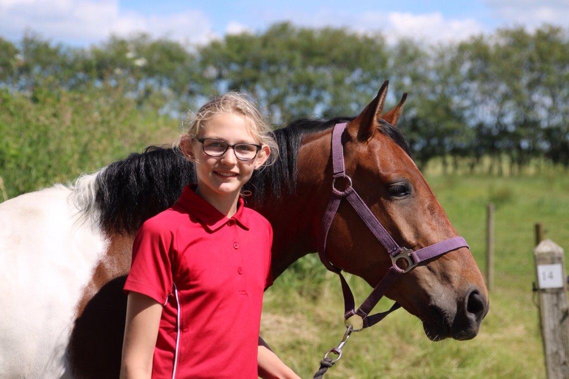 Pinto Robin billede 8