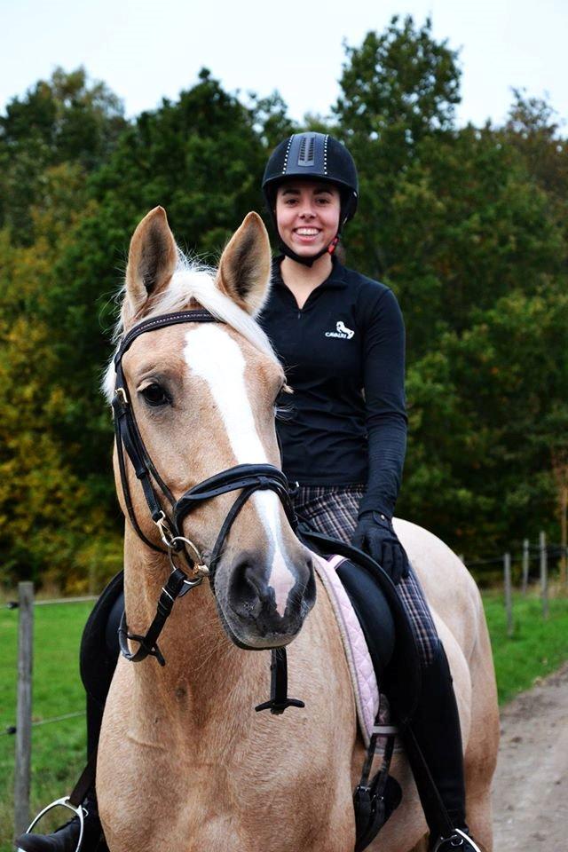 Palomino Lilja - Foto: Sofie Christensen billede 1