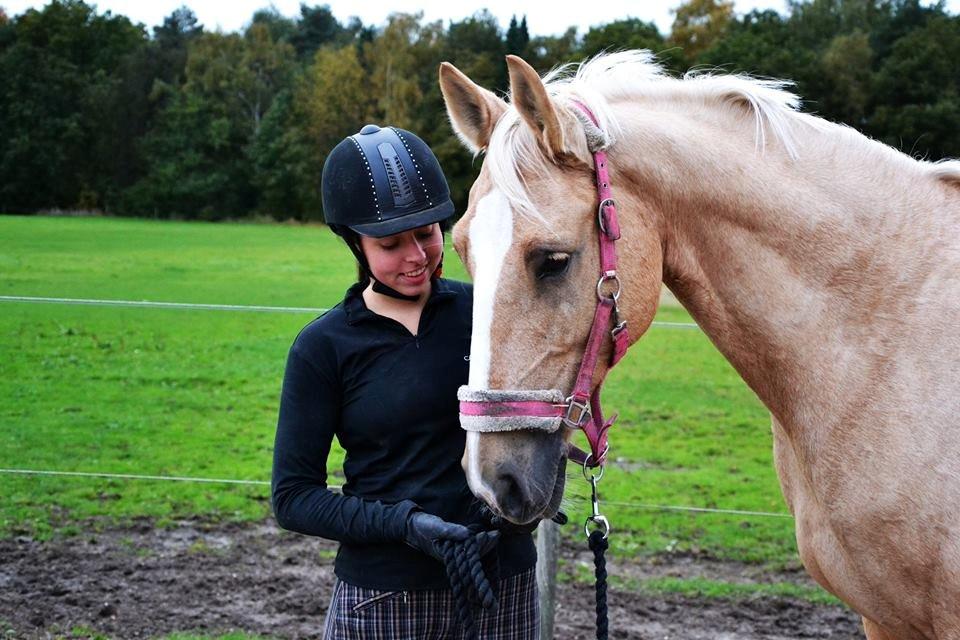 Palomino Lilja - Foto: Sofie Christensen billede 3