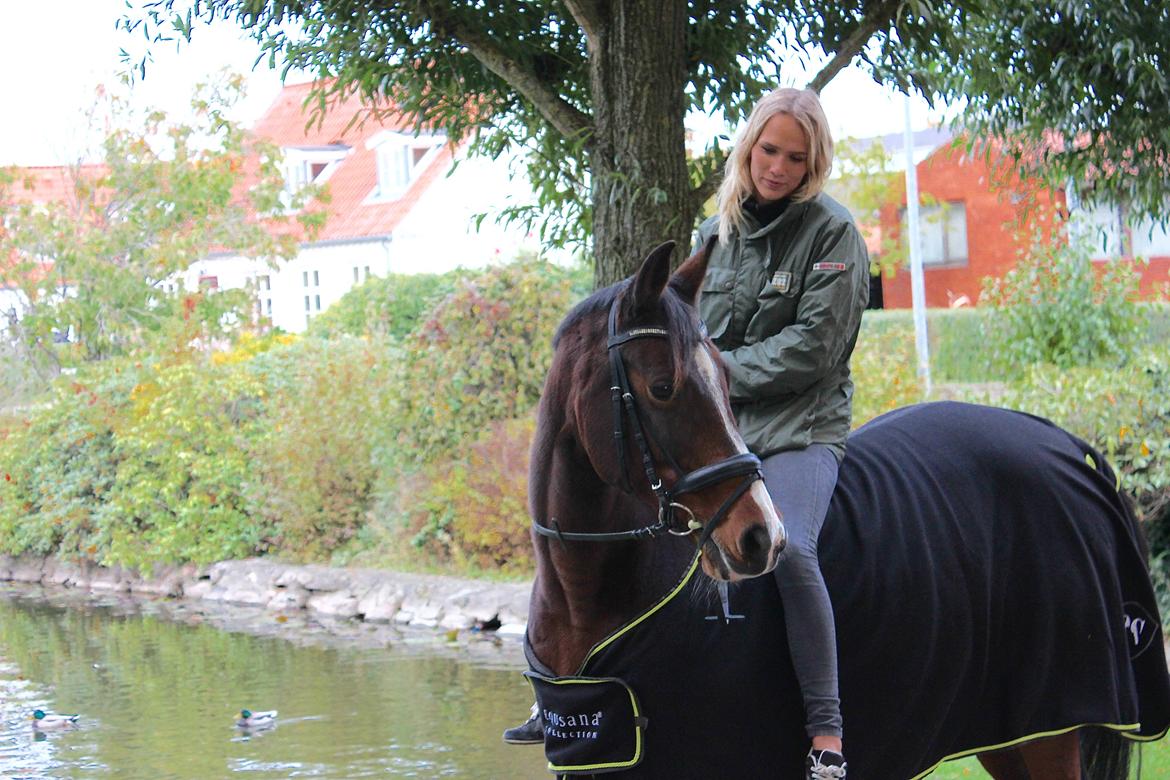 Dansk Varmblod Fantasy [Tidl. part] - En af mine sidste dage med hende. 21-10-2015 billede 2