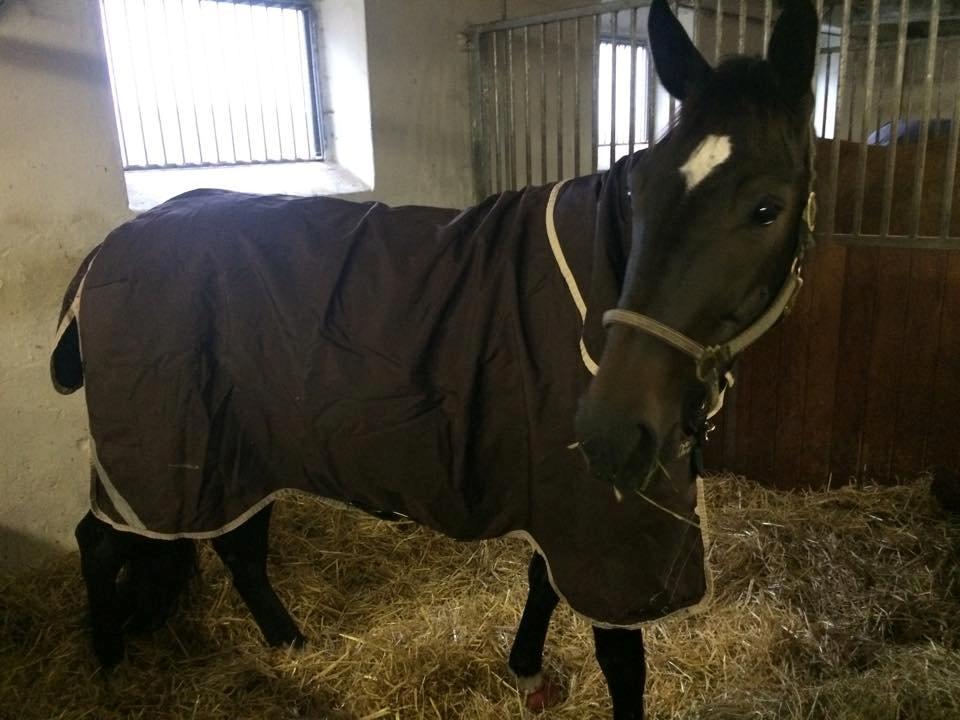 Traver Alica Gold  - Damen med sit nye lækre dækken <3 billede 27