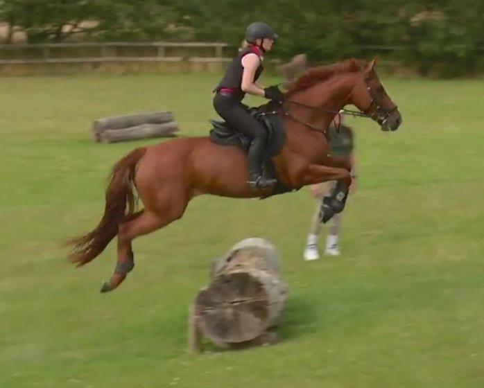 Dansk Varmblod Fiona - Aidan O'Connell kursus på Engerupgård august 2015 billede 15