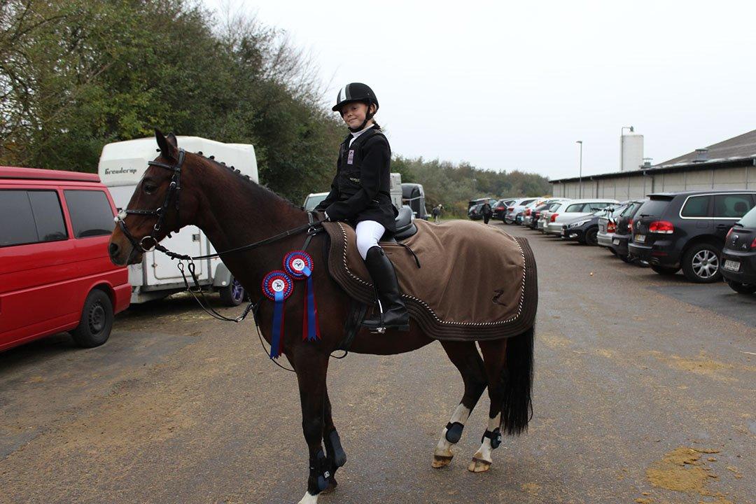 Tysk Sportspony Burghof´s voyager billede 4