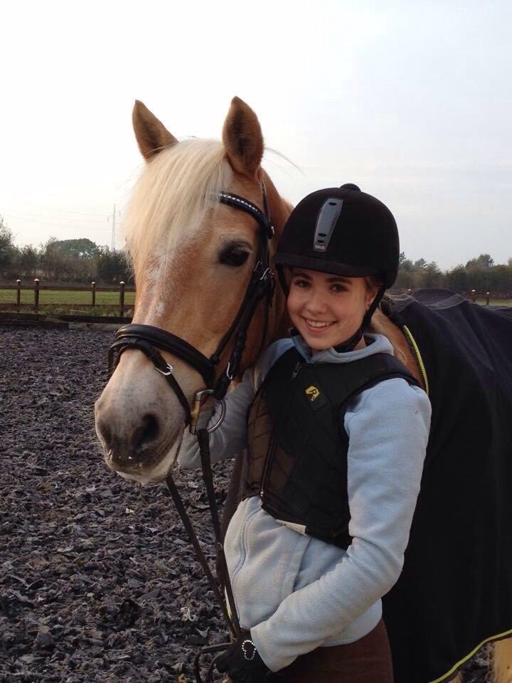 Haflinger Kløv's paxi billede 1