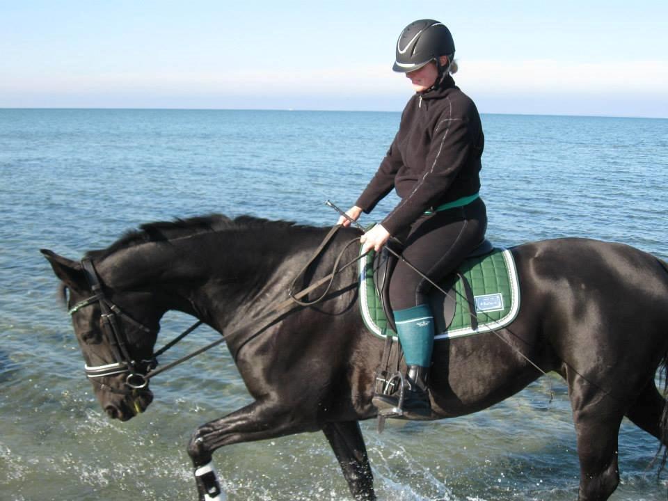 Dansk Varmblod Fruerlundens Rosita billede 8