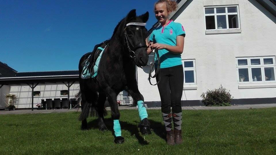 Dartmoor SKIPPER billede 5