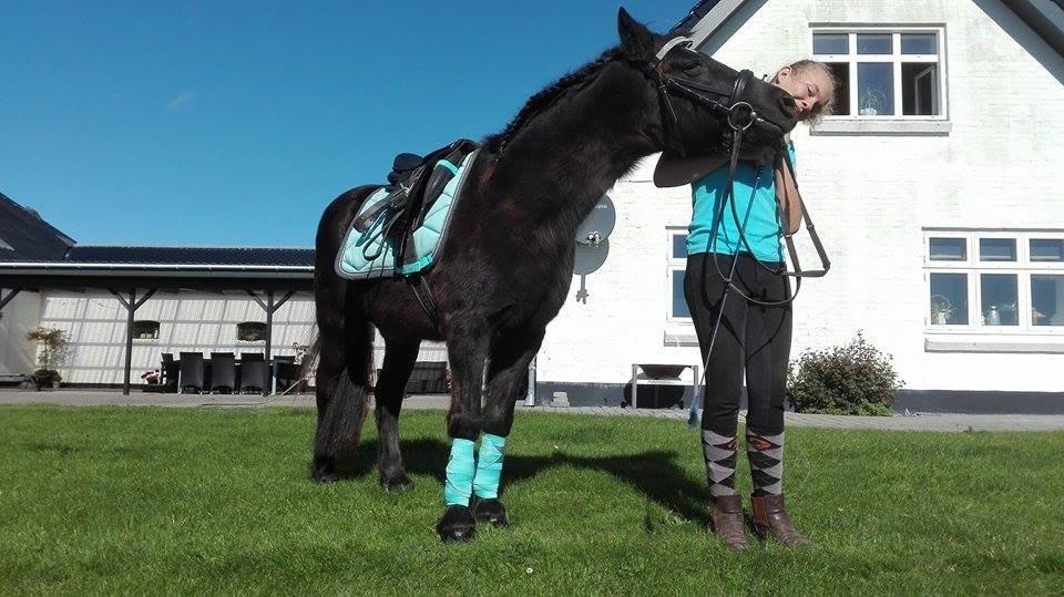 Dartmoor SKIPPER billede 6