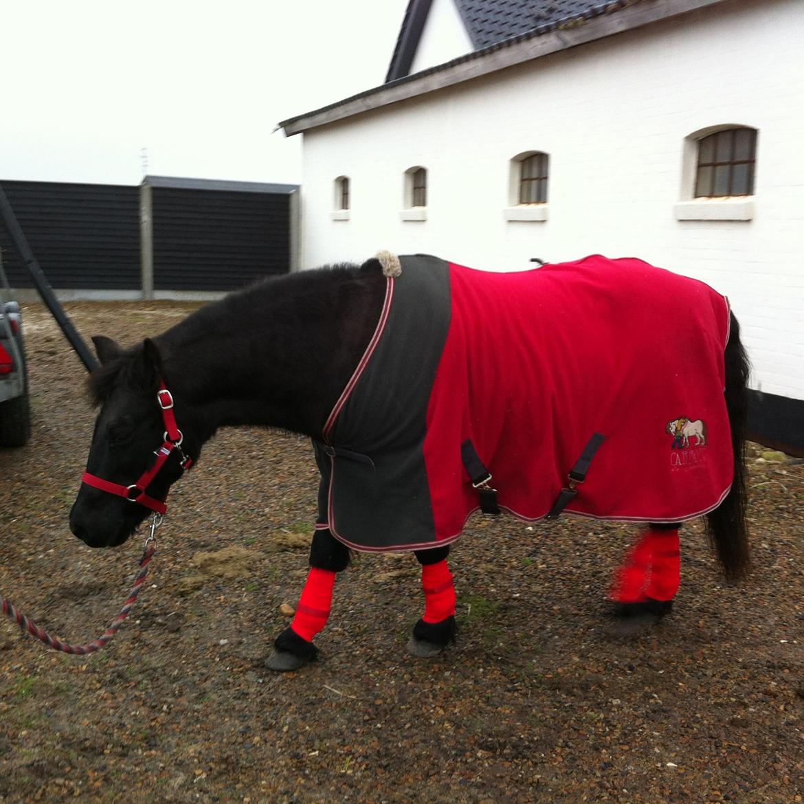 Dartmoor SKIPPER billede 24