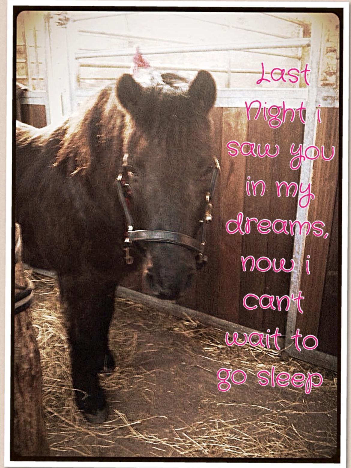 Dartmoor SKIPPER billede 31