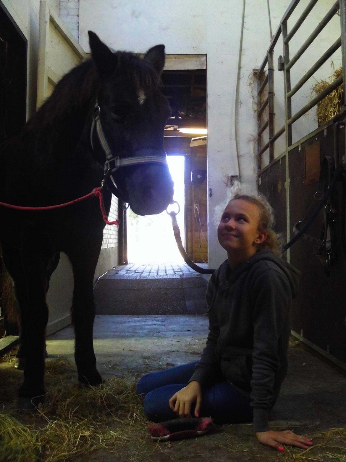 Dartmoor SKIPPER billede 33