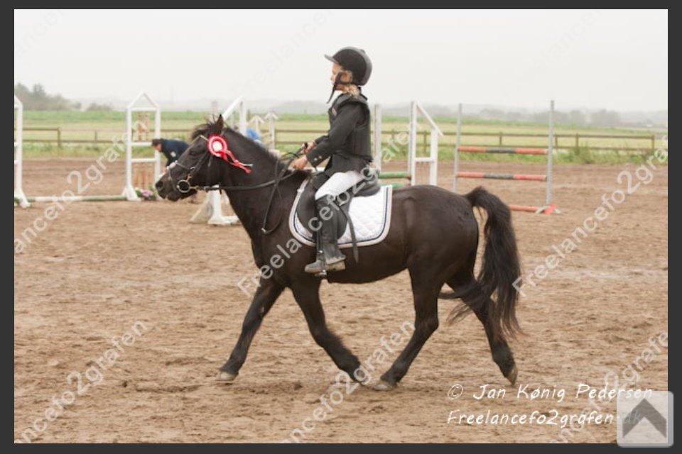 Dartmoor SKIPPER billede 45