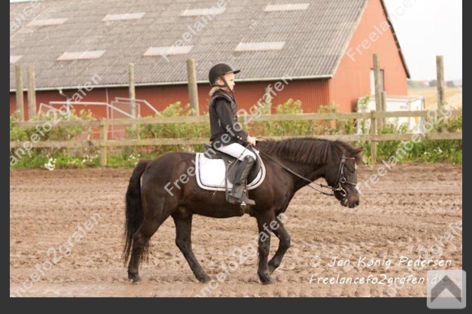 Dartmoor SKIPPER billede 44