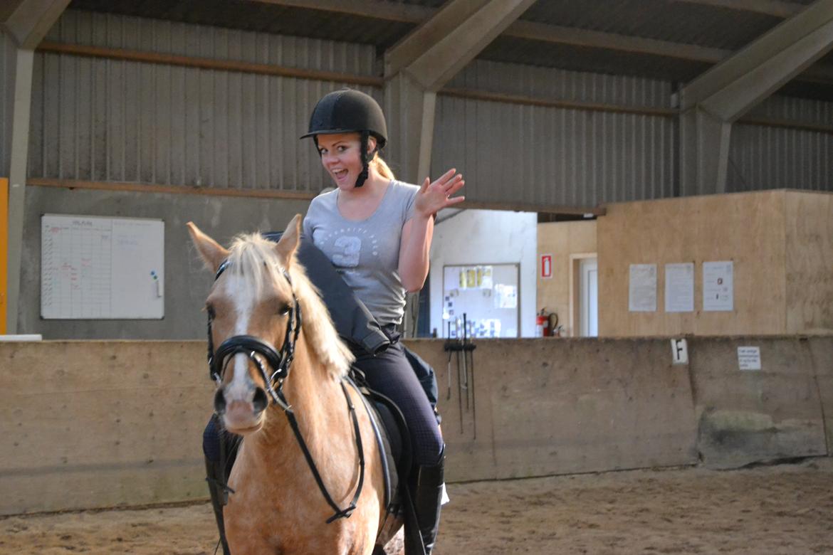 Palomino Vestervangs betterøv billede 26