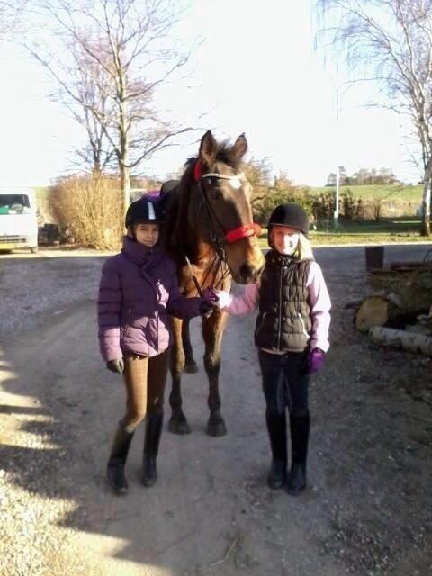 Traver Faraway billede 4