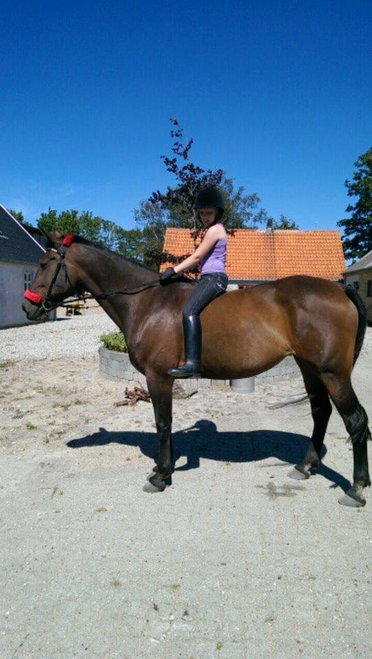 Traver Faraway billede 3