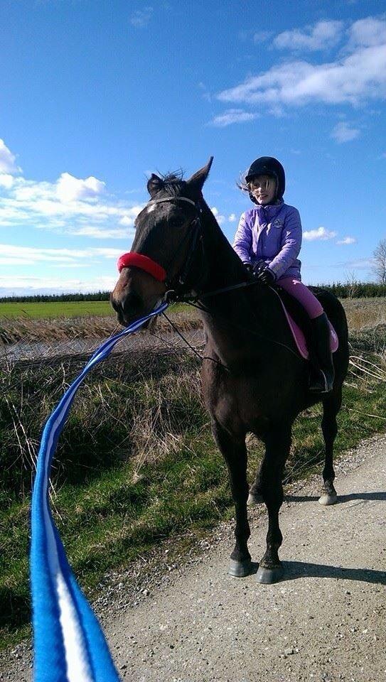 Traver Faraway billede 5