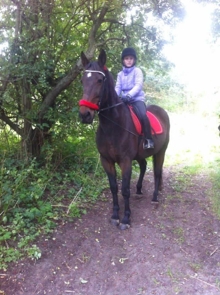 Traver Faraway billede 9