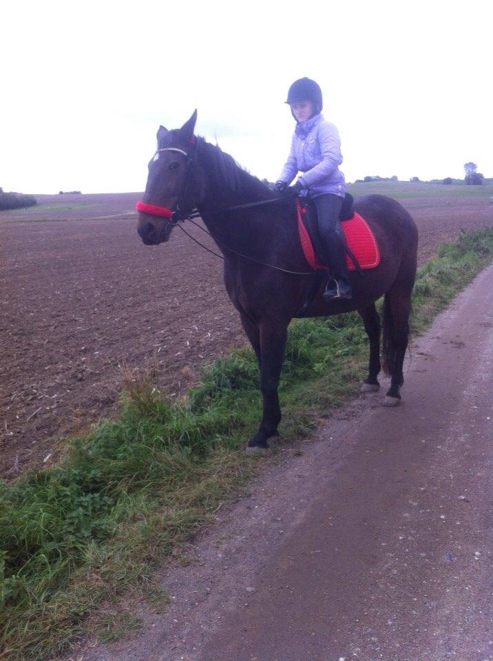 Traver Faraway billede 10