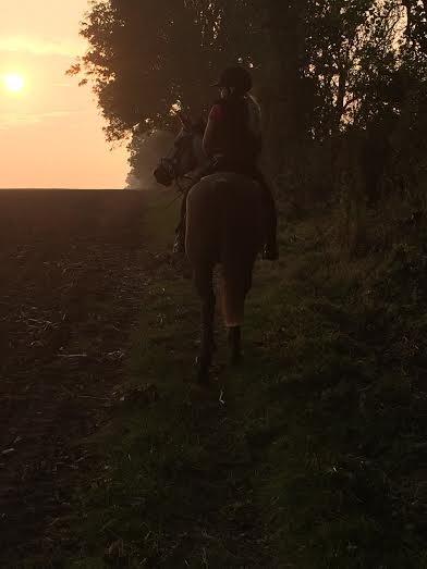 Anden særlig race Smartie<3 - Velkommen til Smarties profil, læg gerne en kommentar og en bedømmelse;-) billede 10