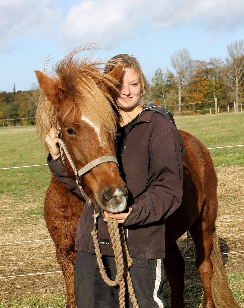 Islænder Glóblesa fra Stald Hovslag billede 20