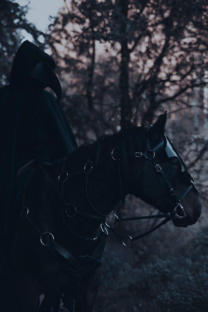 Anden særlig race Cointreau J - 18. oktober 2015 ... Halloween som en blanding af Nazgûl og pestdoktor ... Fotograf: Ronja Overgaard - Edit: Mig (Tales by Sipo) billede 2