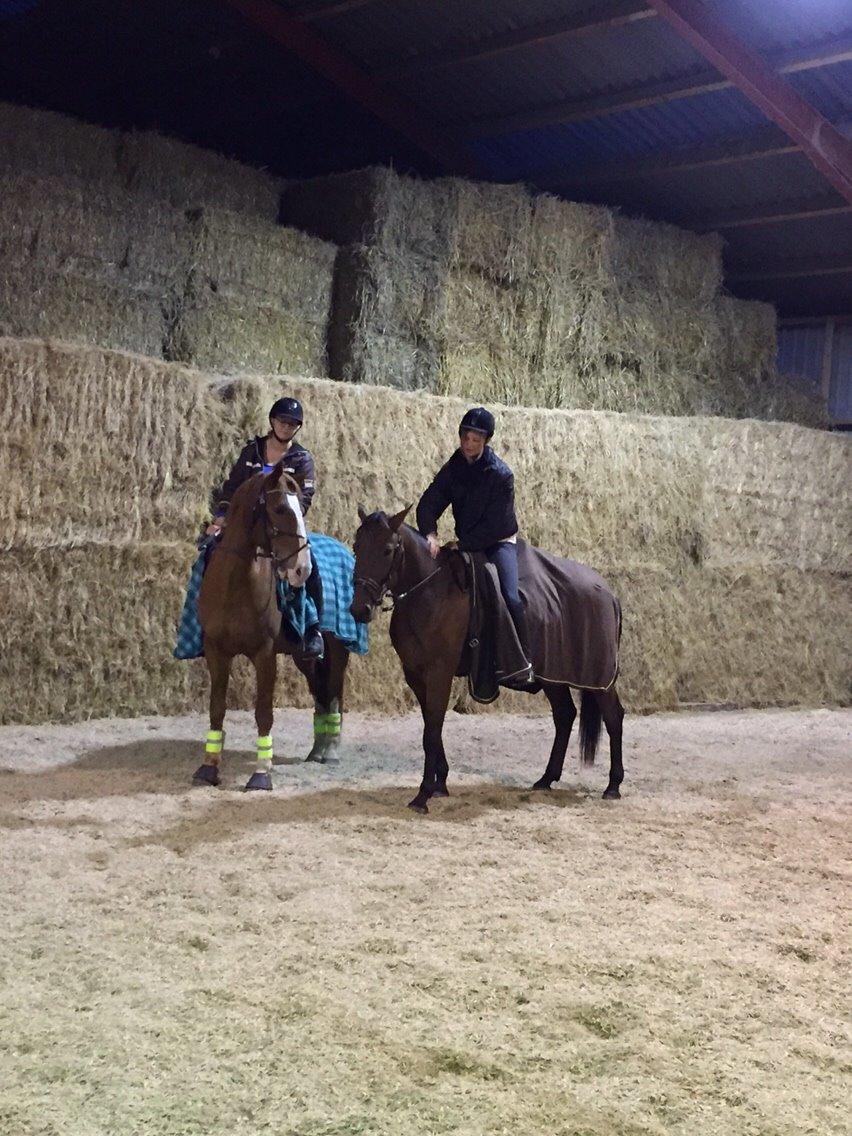 Traver Barbar Hornline (SE) (Deline) - Nu som ride hest i stedet Deline sammen med houdini billede 37